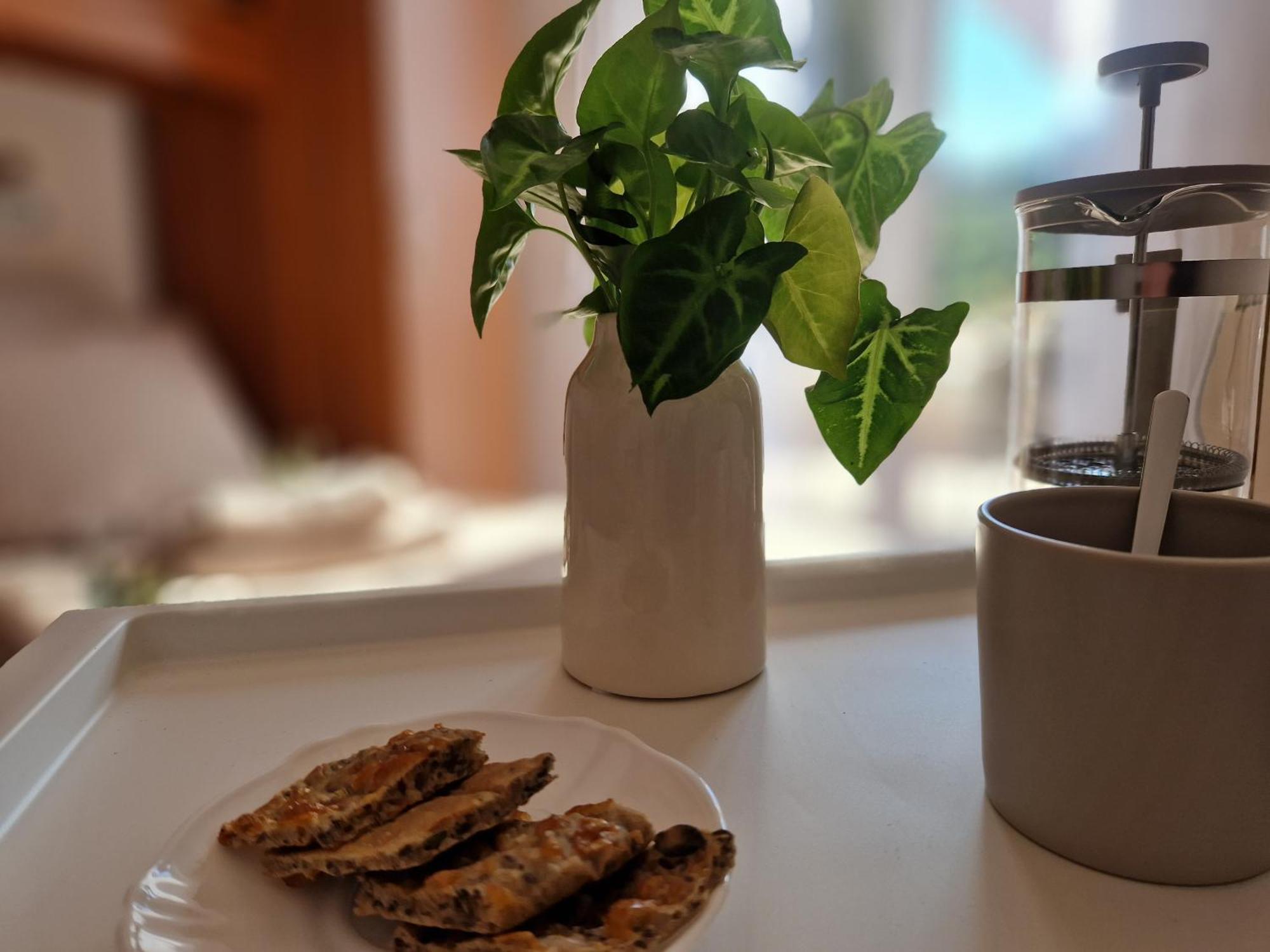 House Olive Garden Strunjan Apartman Kültér fotó
